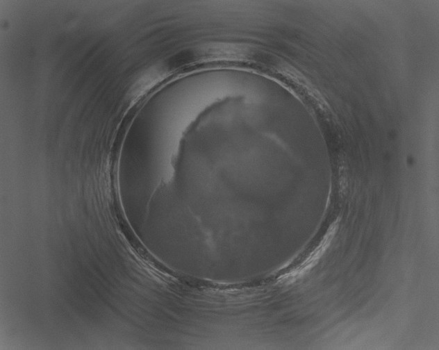 X0000051241121200506171103