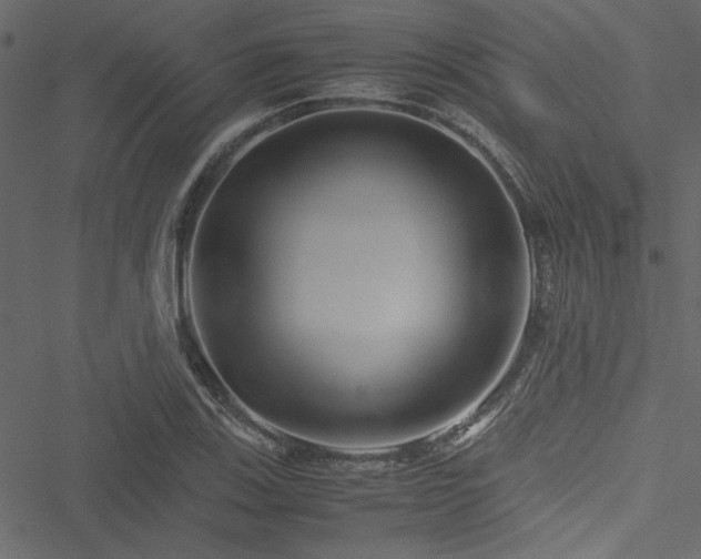 X0000051241123200506171103