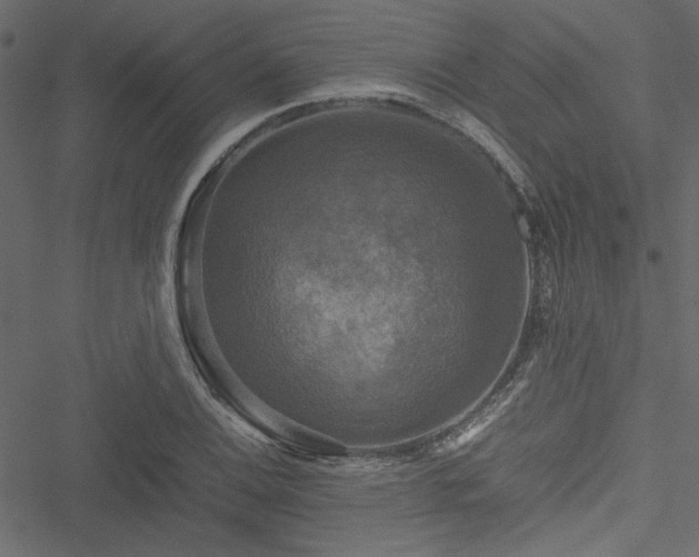 X0000051241124200506171103