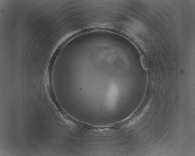 X0000051241125200506171103