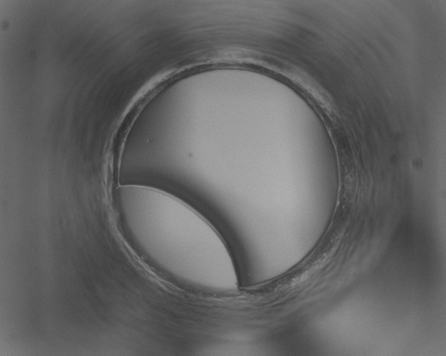 X0000051241126200506171103