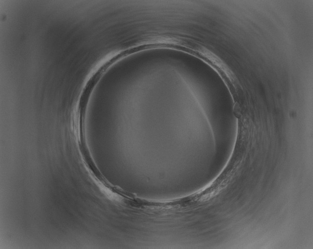 X0000051241127200506171103