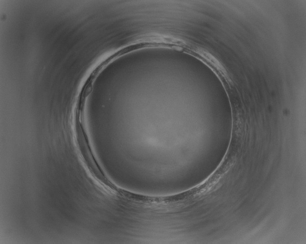 X0000051241128200506171103