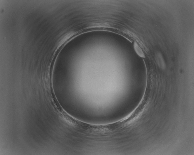 X0000051241129200506171103