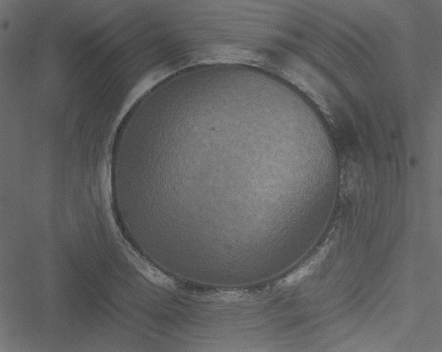 X0000051241130200506171103