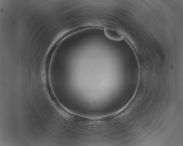 X0000051241131200506171103