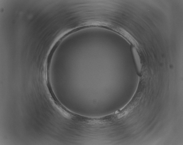 X0000051241132200506171103