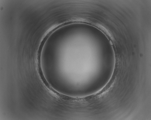 X0000051241133200506171103