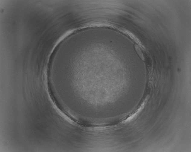 X0000051241134200506171103