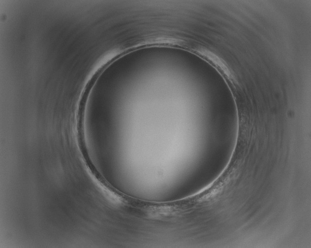 X0000051241135200506171103