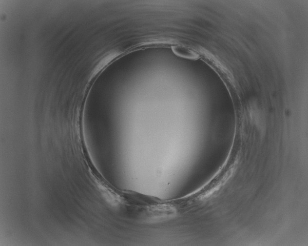 X0000051241137200506171103