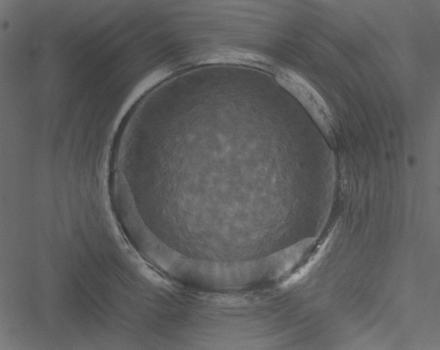 X0000051241138200506171103