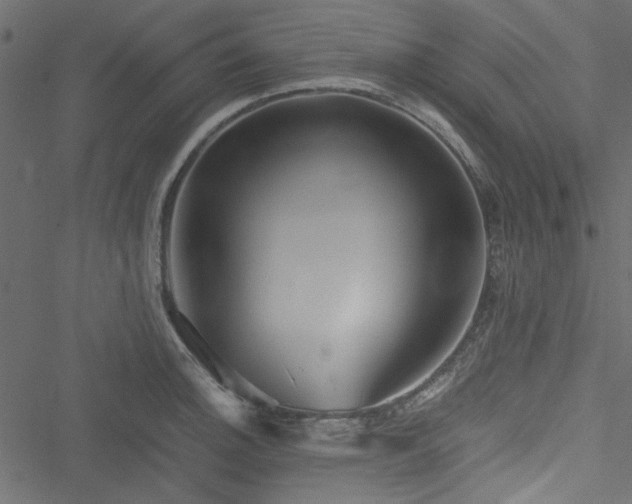 X0000051241140200506171103