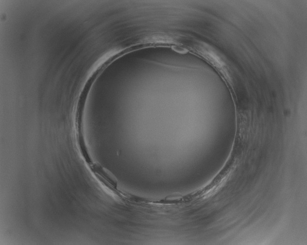 X0000051241141200506171103