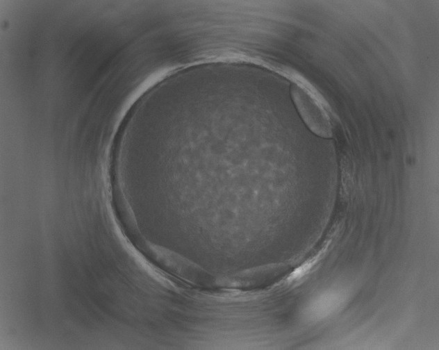 X0000051241142200506171104