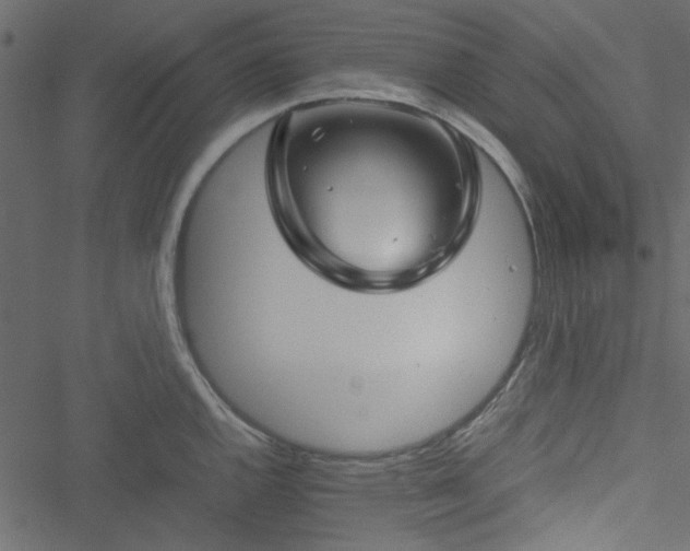 X0000051241144200506171104