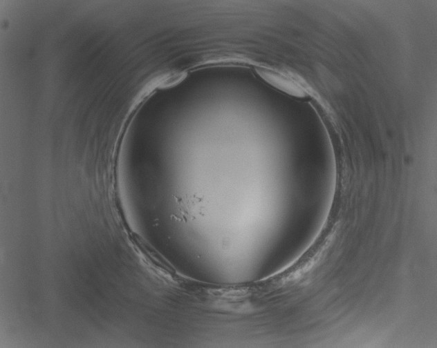 X0000051241145200506171104