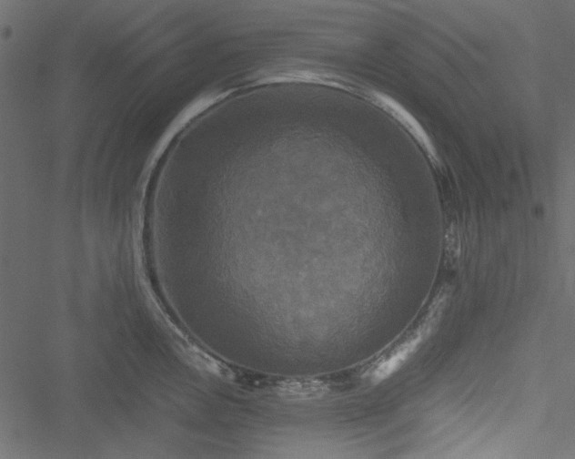 X0000051241146200506171104