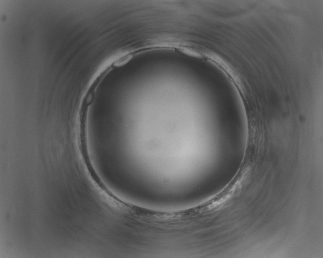 X0000051241147200506171104