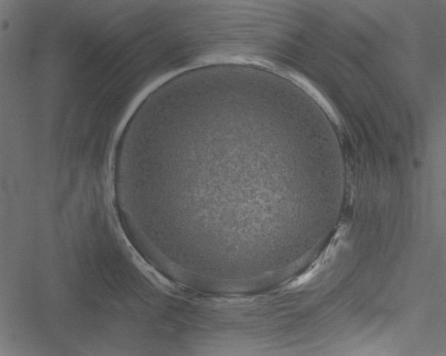 X0000051241148200506171104