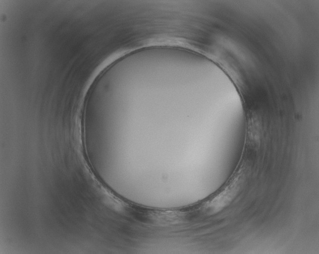 X0000051241150200506171104