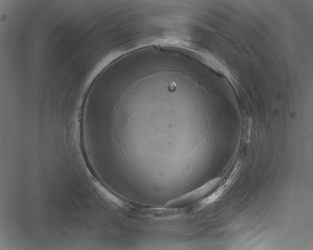 X0000051241151200506171104