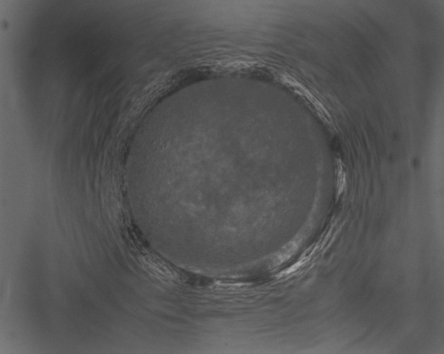 X0000051241153200506171103