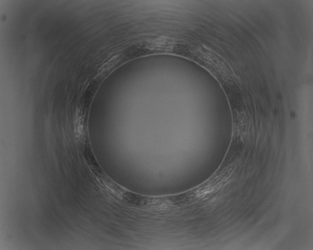 X0000051241154200506171103