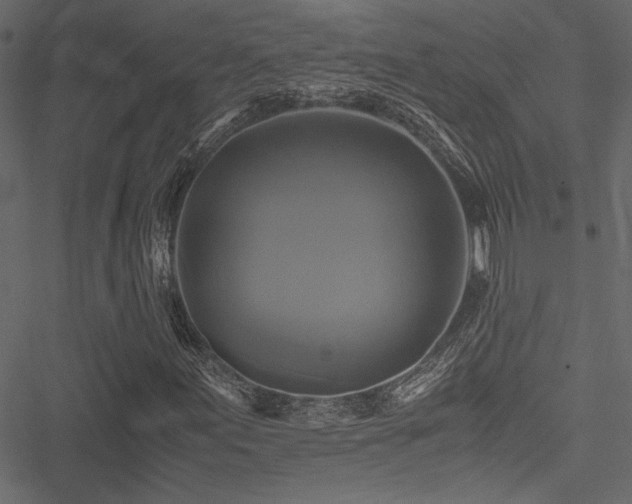 X0000051241155200506171103