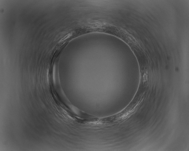 X0000051241156200506171103