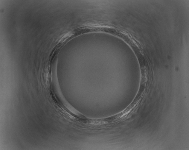 X0000051241157200506171103