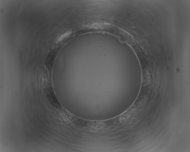 X0000051241158200506171103