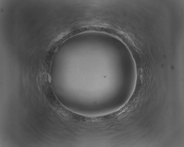 X0000051241159200506171103