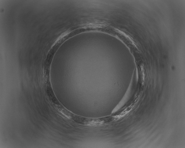 X0000051241160200506171103