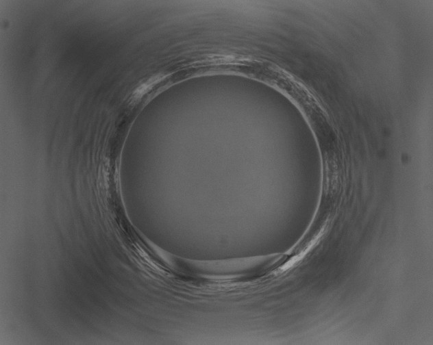 X0000051241161200506171103