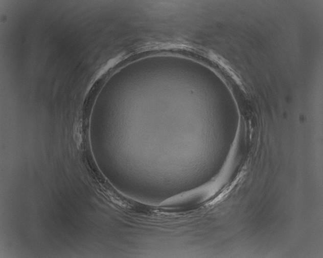 X0000051241165200506171103