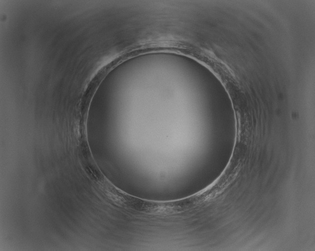 X0000051241166200506171103