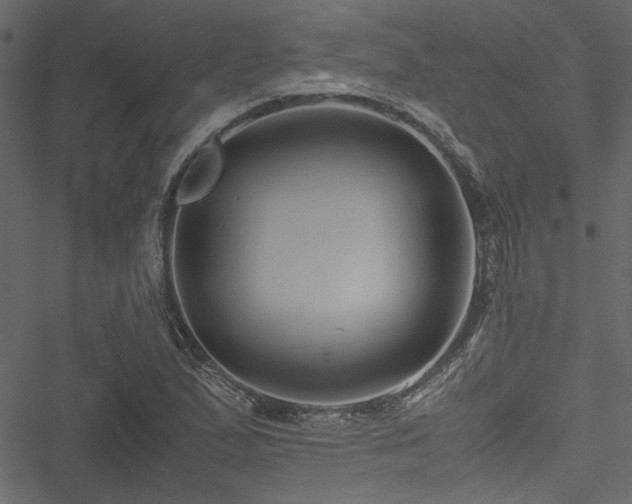 X0000051241167200506171103