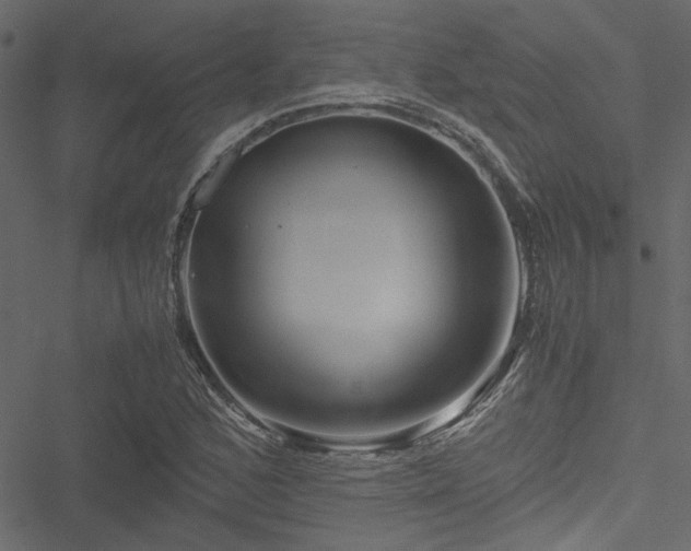 X0000051241168200506171103