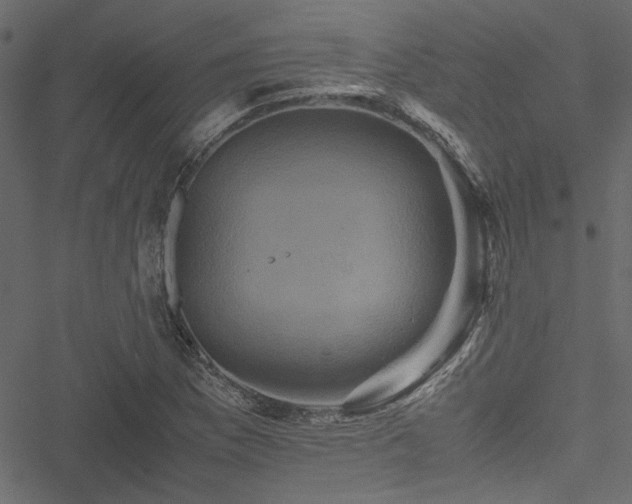 X0000051241169200506171103