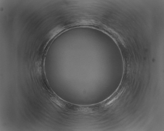 X0000051241170200506171103