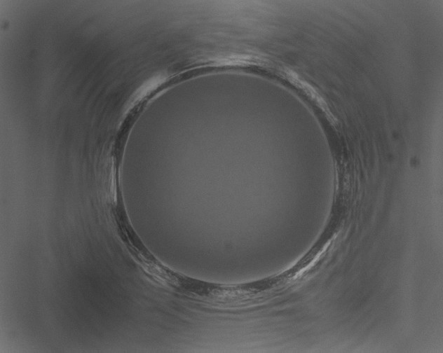 X0000051241171200506171103