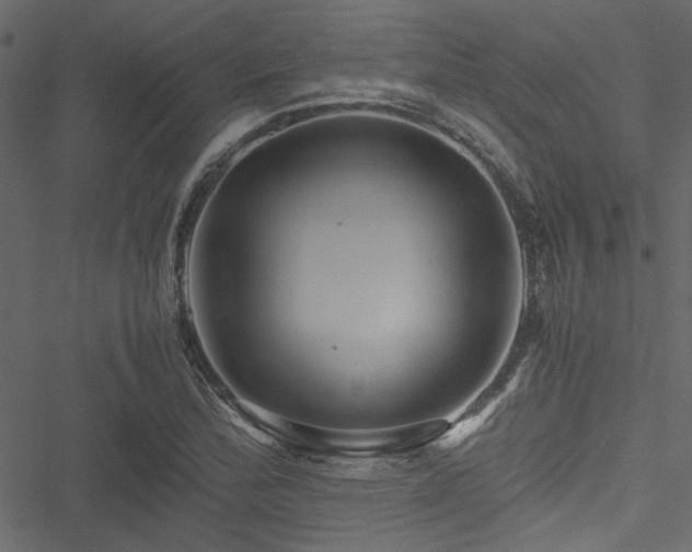 X0000051241172200506171103