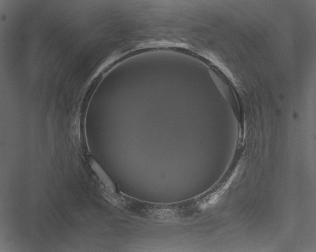 X0000051241173200506171103