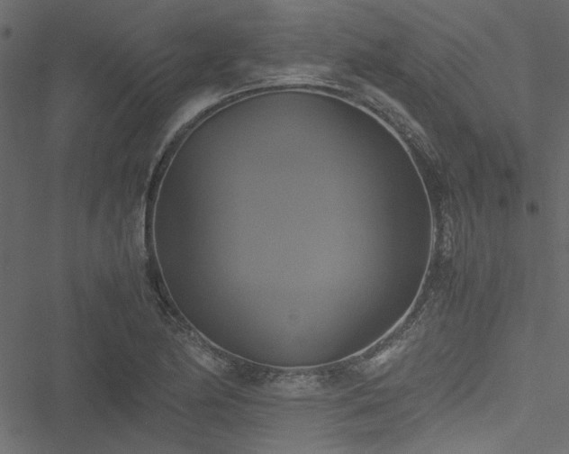 X0000051241174200506171103