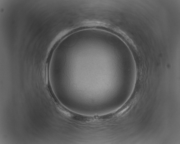 X0000051241175200506171103