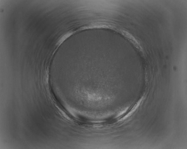 X0000051241177200506171102