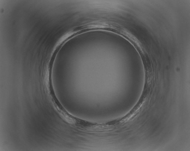 X0000051241179200506171102