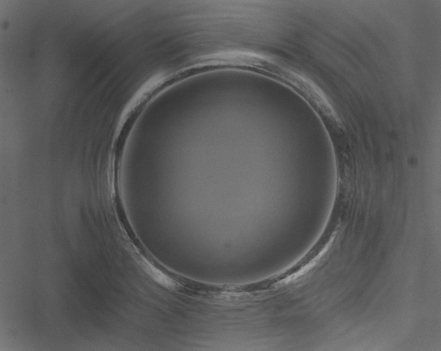 X0000051241180200506171102