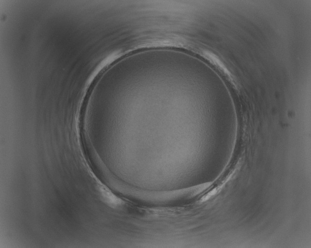 X0000051241181200506171102